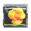 California Poppy Megalink Moni Originals® Charm