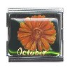 Calendula Megalink Moni Originals® Charm (October Flower)