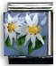 Daisies 13mm Moni Originals® Charm