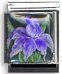 Purple Iris 13mm MOni Originals® Charm